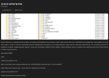 Shora Advisory Faces Data Leak in Tengu Ransomware Attack
