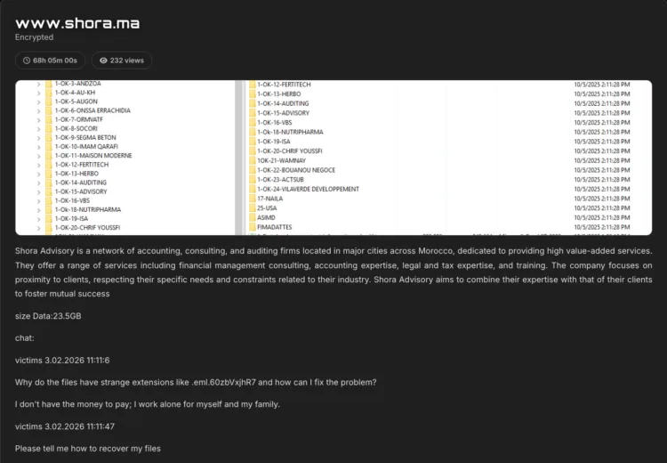 Shora Advisory Faces Data Leak in Tengu Ransomware Attack