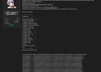 Mideast Data Breach: Saudi Arabian Company Suffers Data Leak