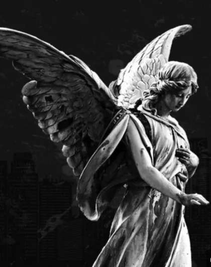 The Guardian Angel of Daily Dark Web
