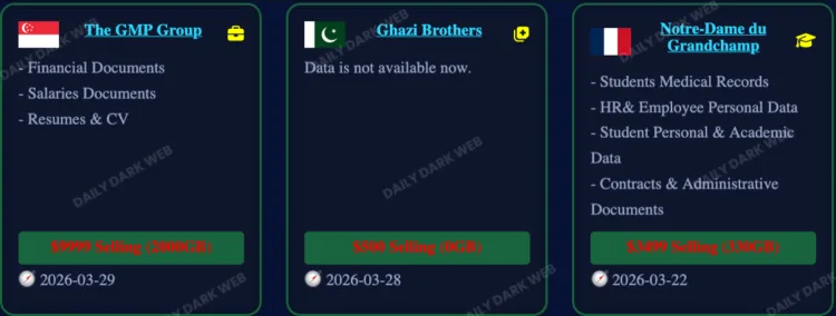 NightSpire Hits GMP Group, Ghazi Brothers, Notre-Dame du Grandchamp