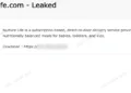 Nurture Life Data Breach Exposes Customer and Children PII