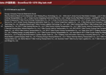 SnowSoul Attack Hits Multiple Chinese Organizations