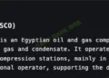 El Wastani Petroleum Company Suffers Ransomware Attack