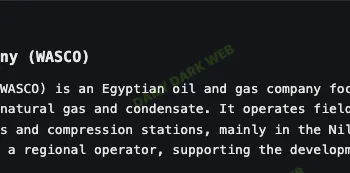 El Wastani Petroleum Company Suffers Ransomware Attack