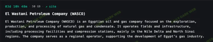 El Wastani Petroleum Company Suffers Ransomware Attack