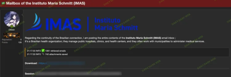 🇧🇷 Brazil – Instituto Maria Schmitt (IMAS)